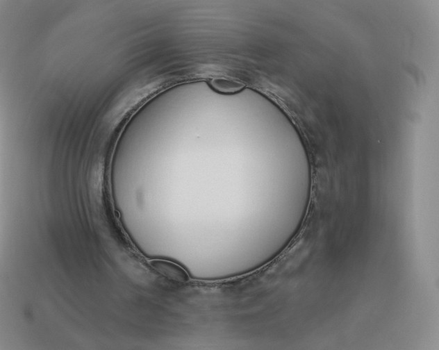 X0000114000194200910161717
