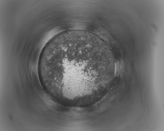 X0000114000195200910161717