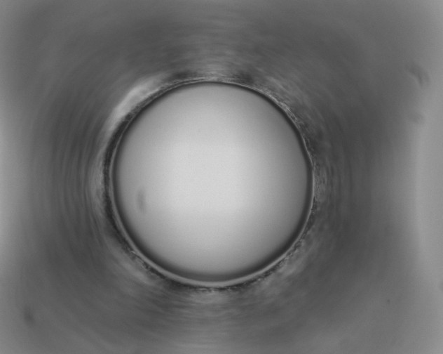 X0000114000198200910161717