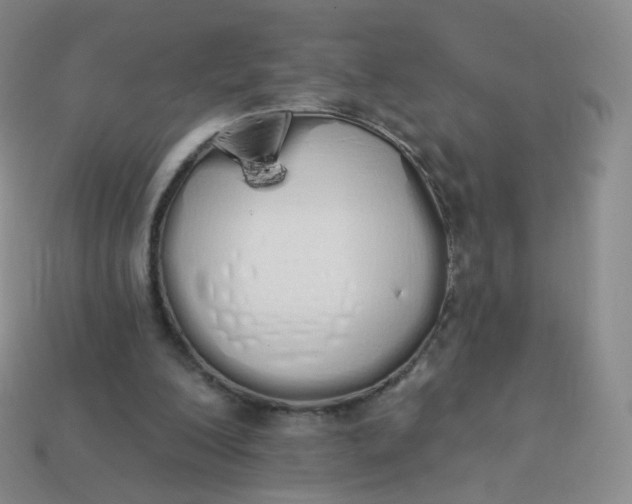 X0000114000200200910161717