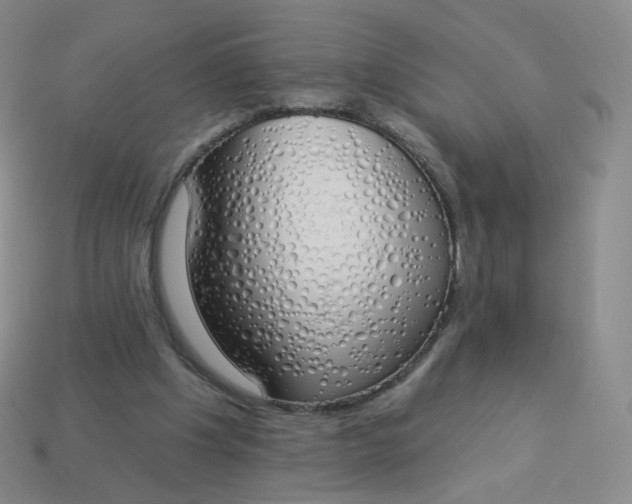 X0000114000201200910161717