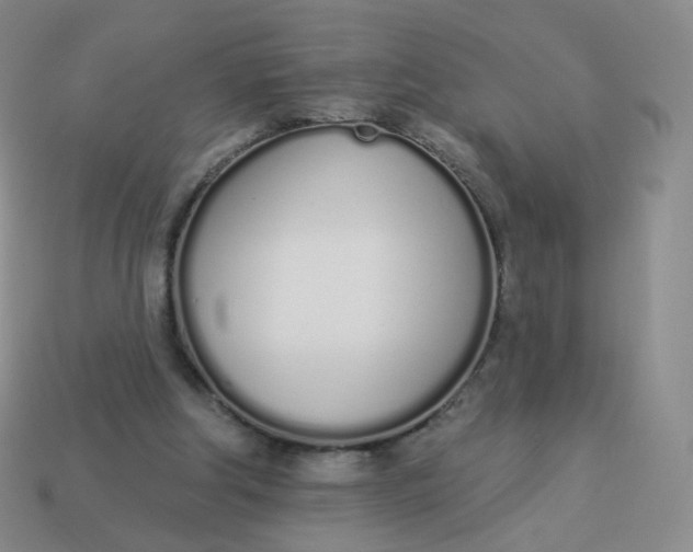 X0000114000202200910161717