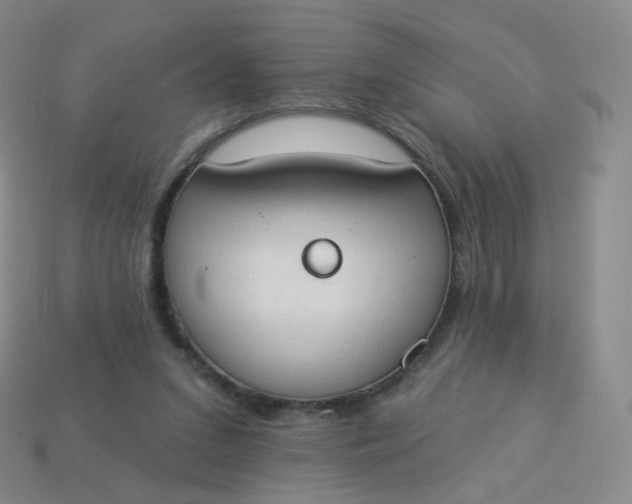 X0000114000207200910161717