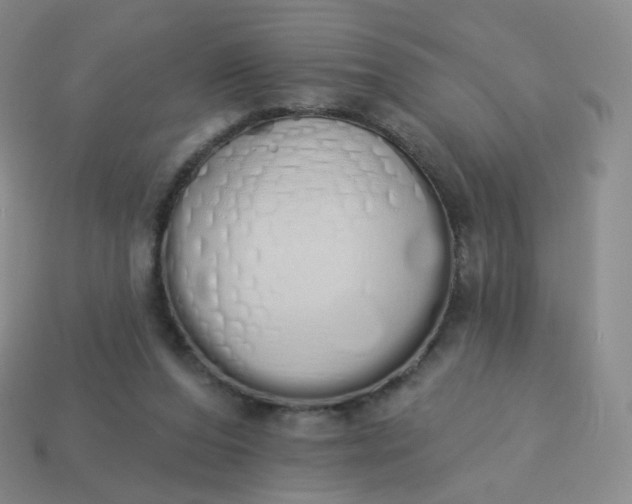 X0000114000208200910161717
