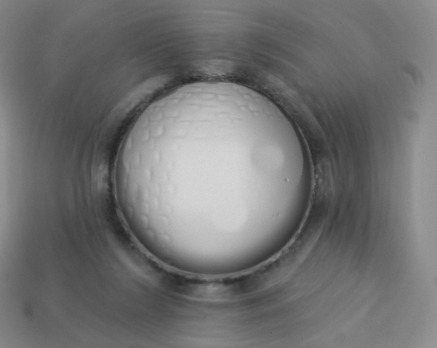 X0000114000212200910161717