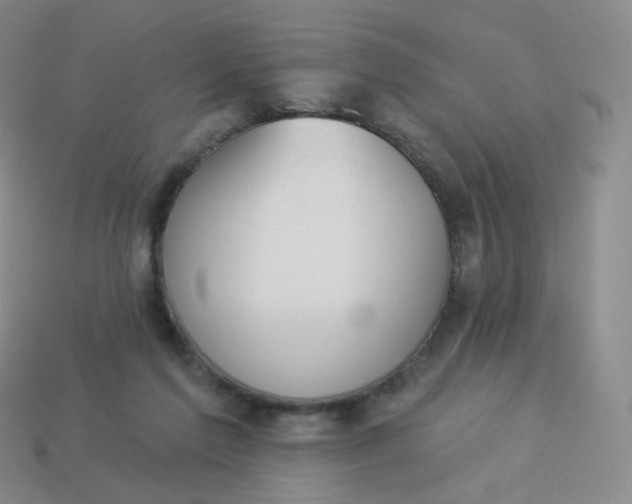X0000114000213200910161717
