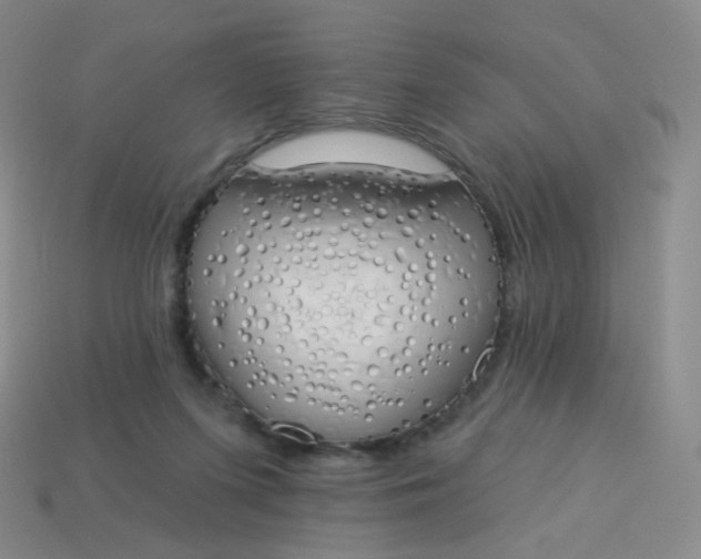 X0000114000215200910161717