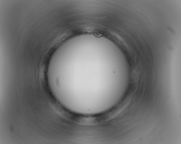 X0000114000217200910161717