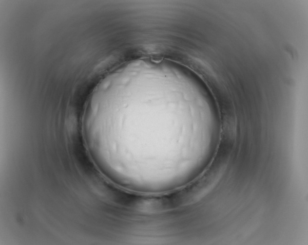 X0000114000220200910161716