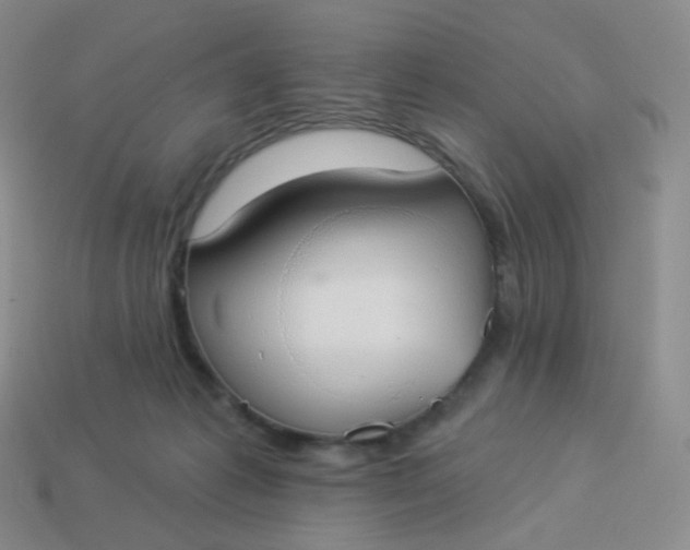 X0000114000221200910161716