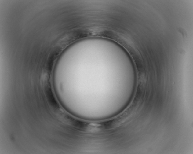 X0000114000222200910161716