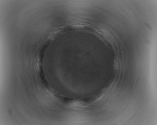 X0000114000223200910161716