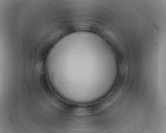 X0000114000224200910161716
