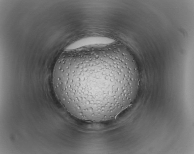 X0000114000225200910161716