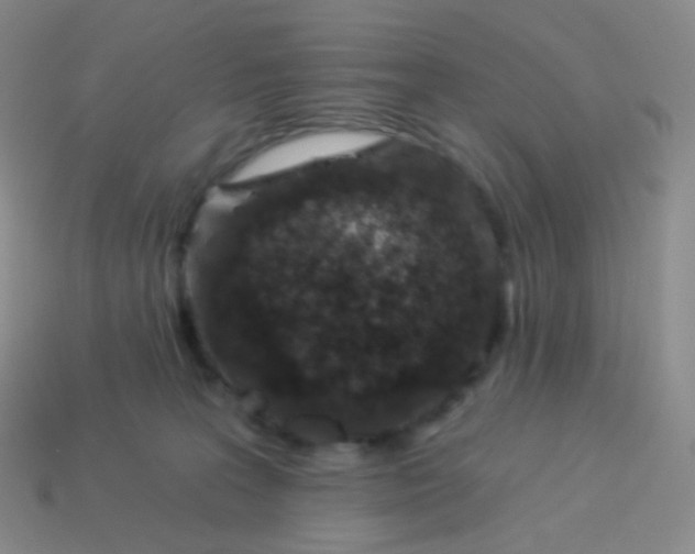 X0000114000227200910161716
