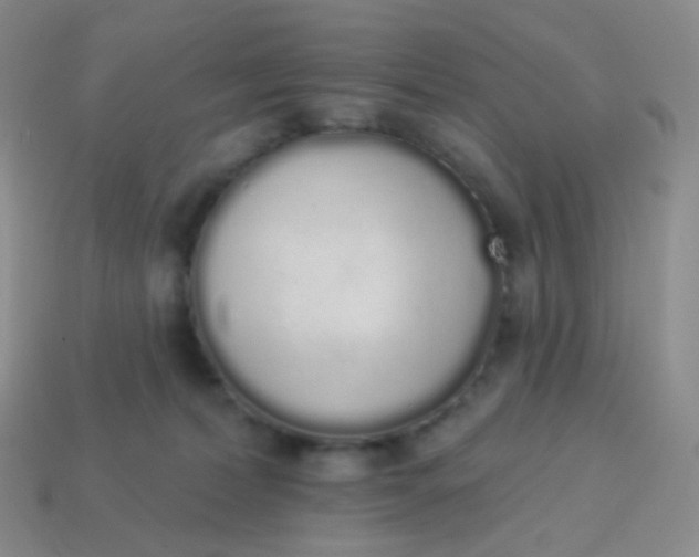 X0000114000228200910161716