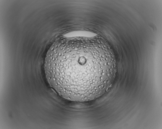 X0000114000229200910161716