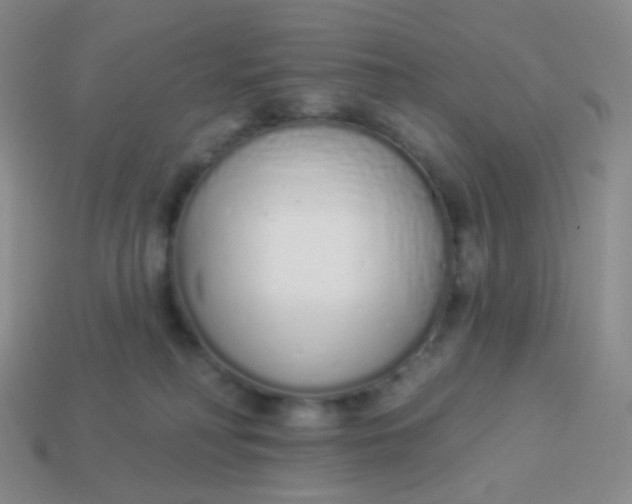 X0000114000230200910161716