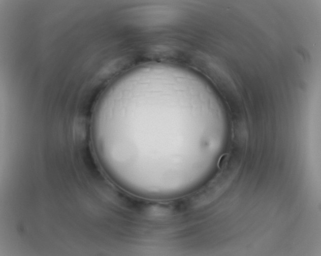 X0000114000232200910161716