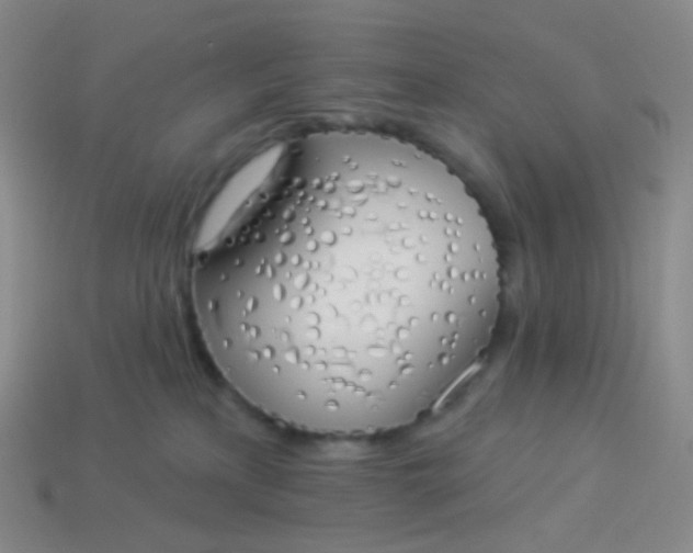 X0000114000233200910161716