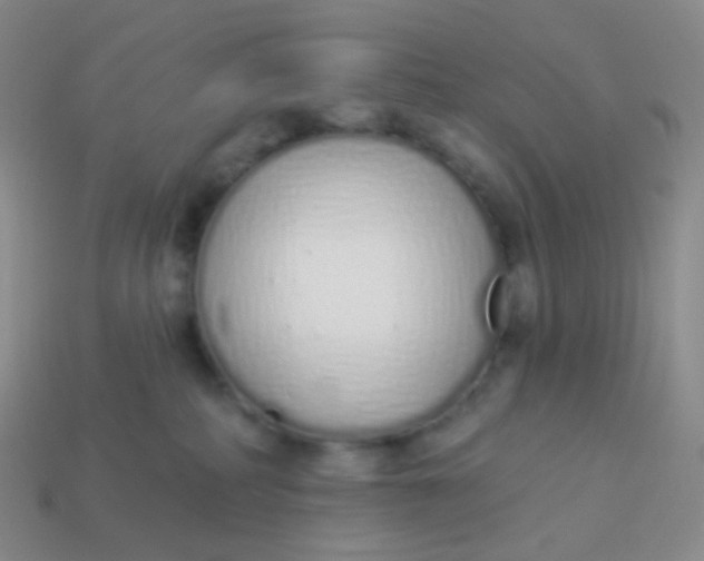 X0000114000234200910161716