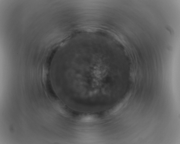 X0000114000235200910161716