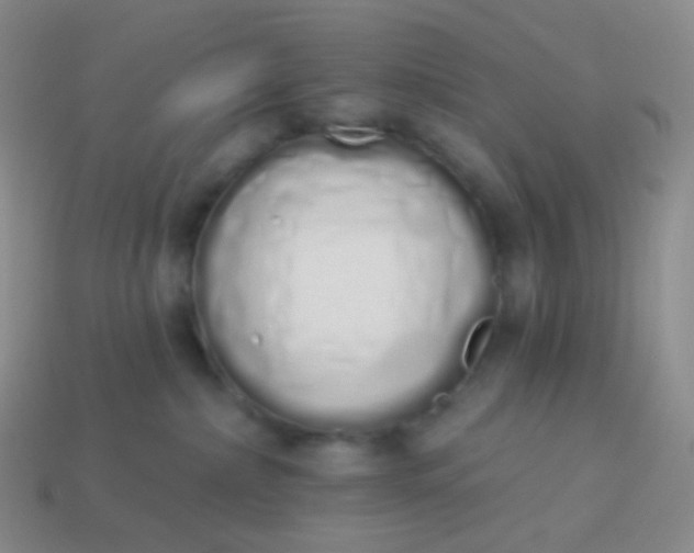 X0000114000236200910161716