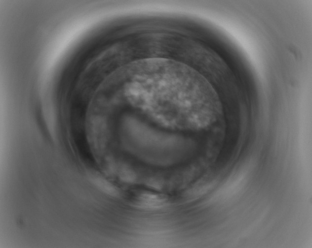 X0000114000239200910161716