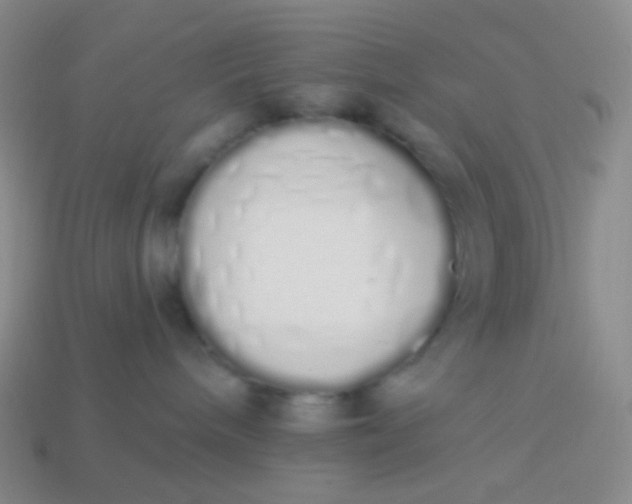 X0000114000240200910161716