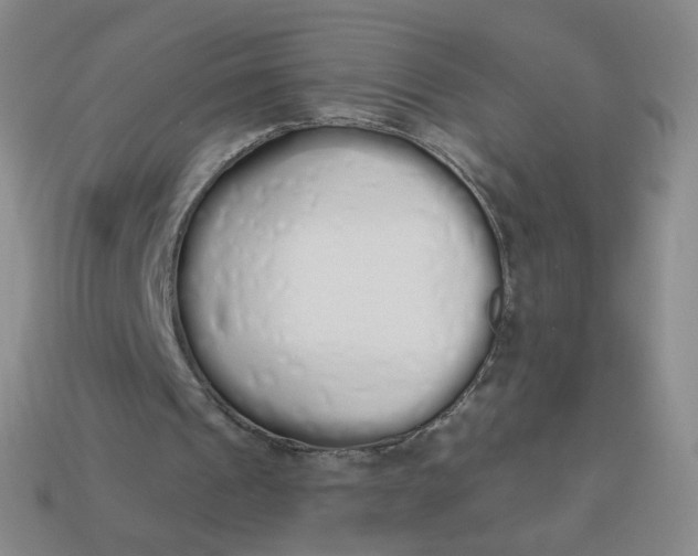 X0000114000241200910161715