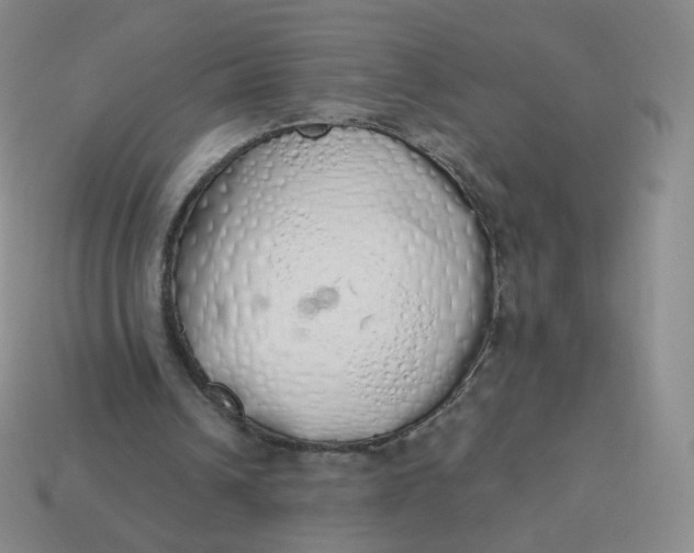 X0000114000242200910161715