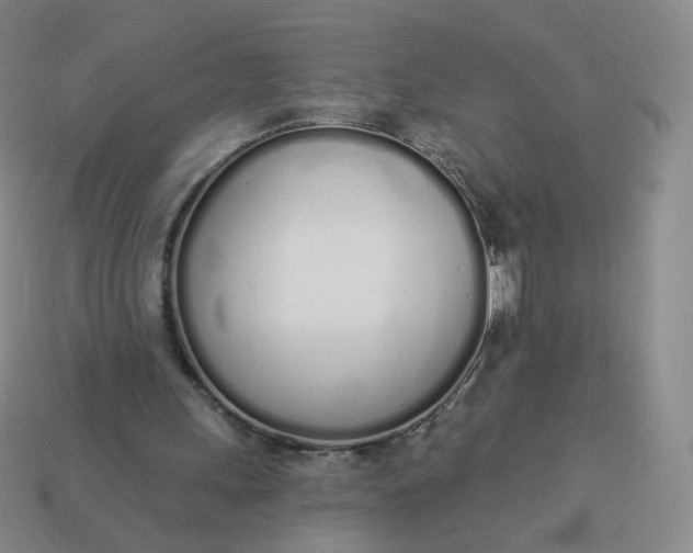 X0000114000243200910161716