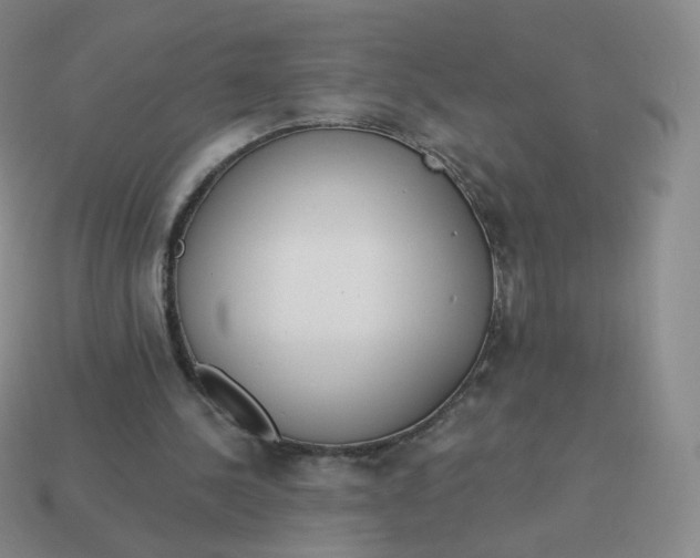 X0000114000244200910161716