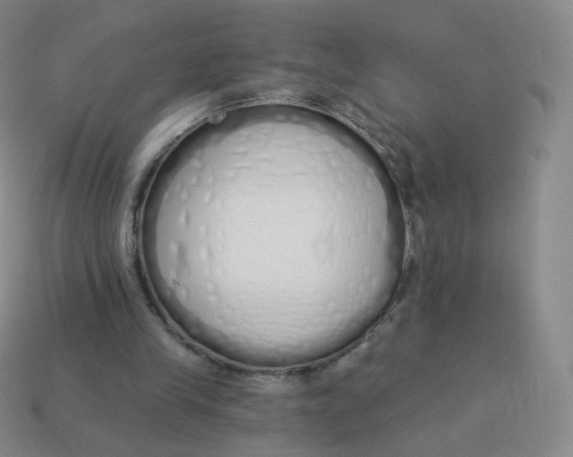 X0000114000245200910161716