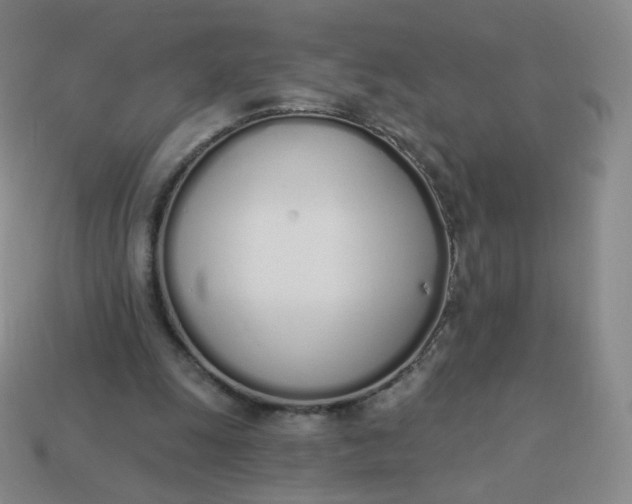 X0000114000247200910161716