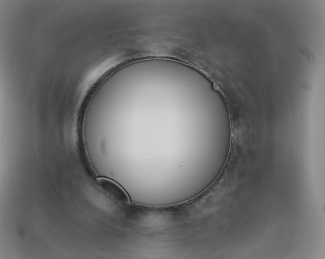 X0000114000248200910161716
