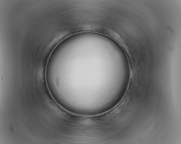 X0000114000249200910161716