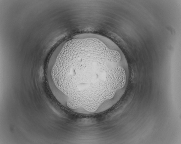X0000114000251200910161716