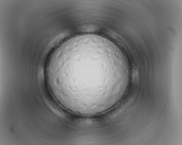 X0000114000254200910161716