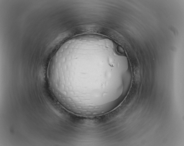 X0000114000255200910161716