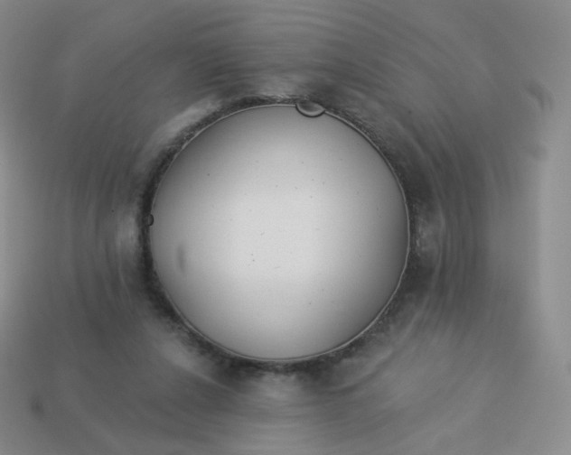 X0000114000256200910161716