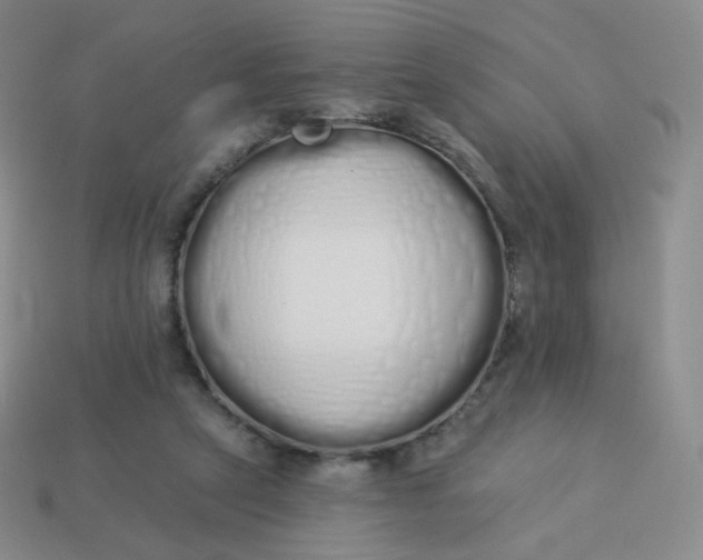 X0000114000257200910161716