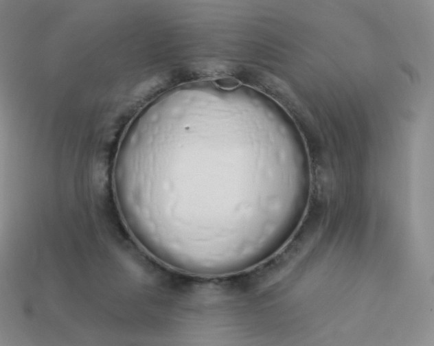 X0000114000259200910161716