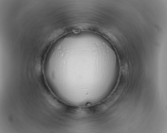 X0000114000261200910161716