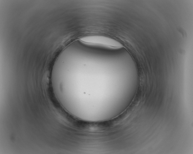 X0000114000264200910161716