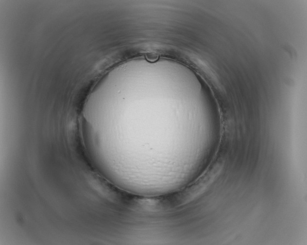 X0000114000265200910161716