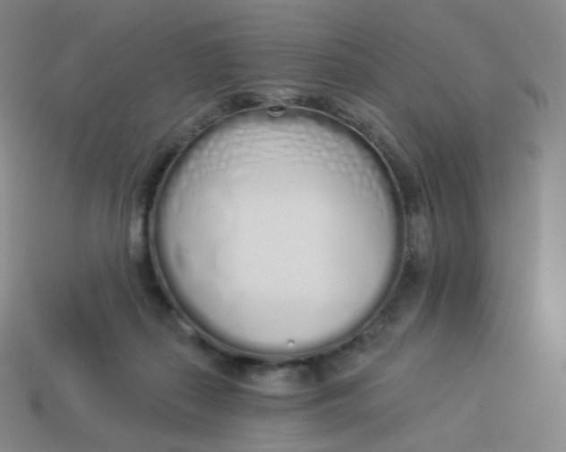 X0000114000267200910161716