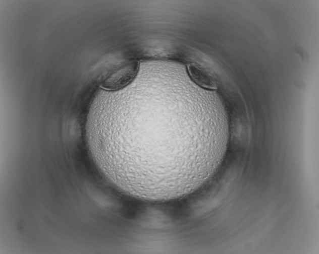 X0000114000268200910161716