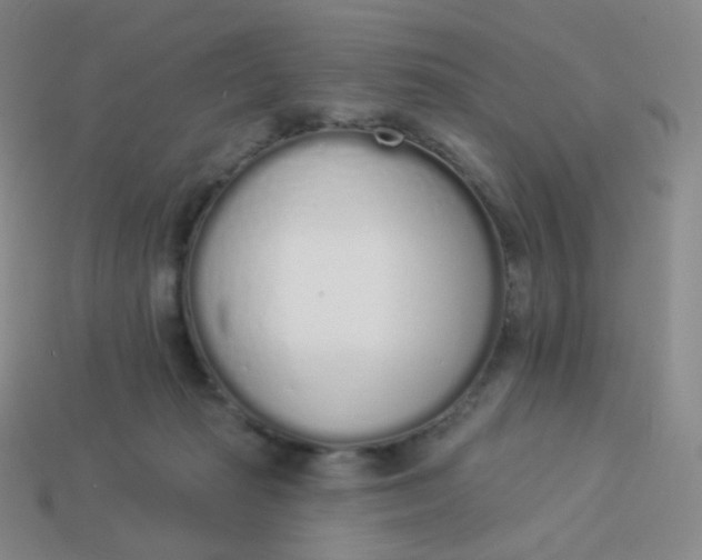 X0000114000269200910161716