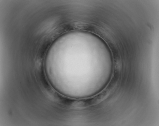 X0000114000271200910161716